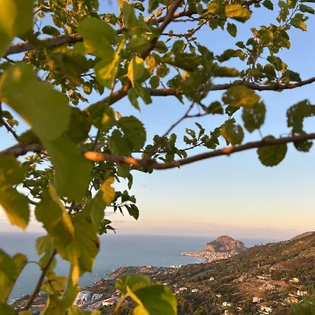 David Hébergement de vacances