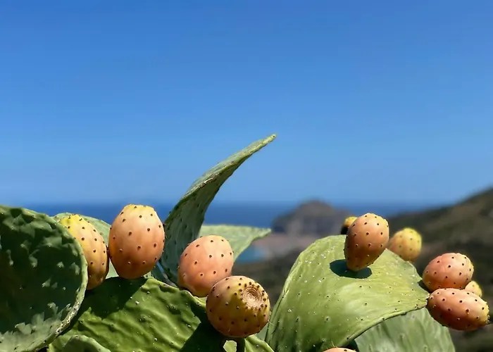 Nyaraló David Cefalù